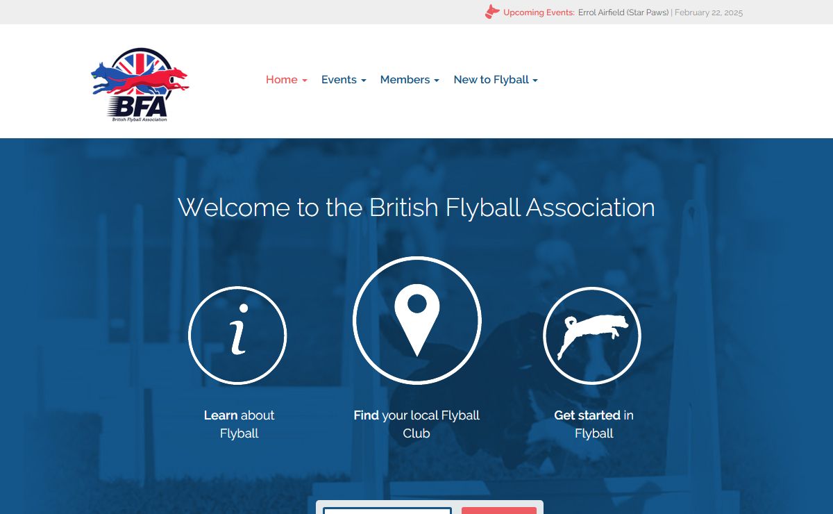 British Flyball Association