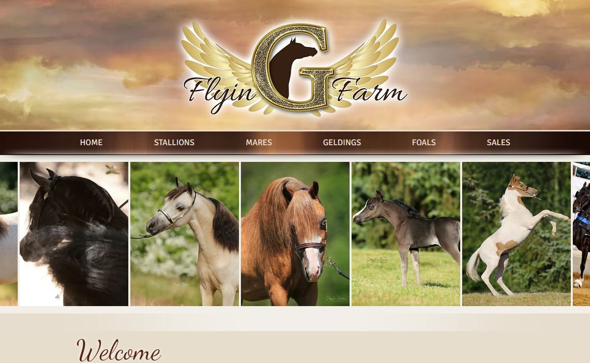Welcome to Flyin G Farm