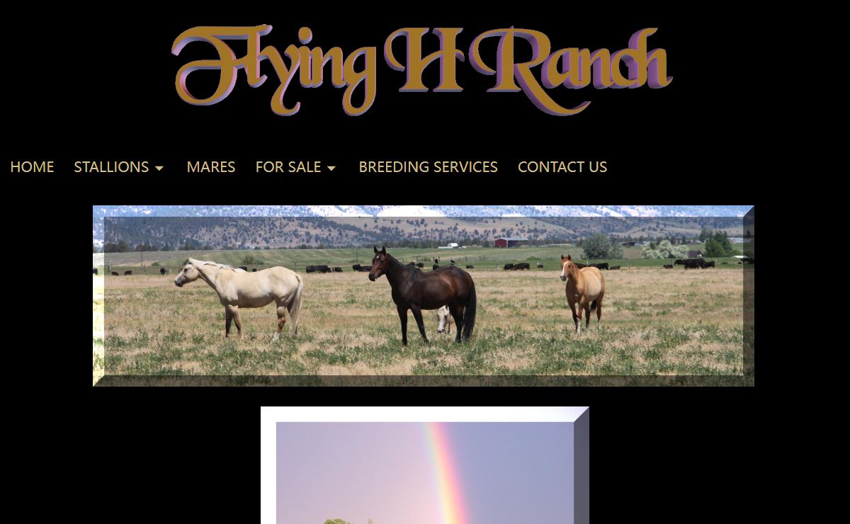 Flying H Ranch Quarter Horses