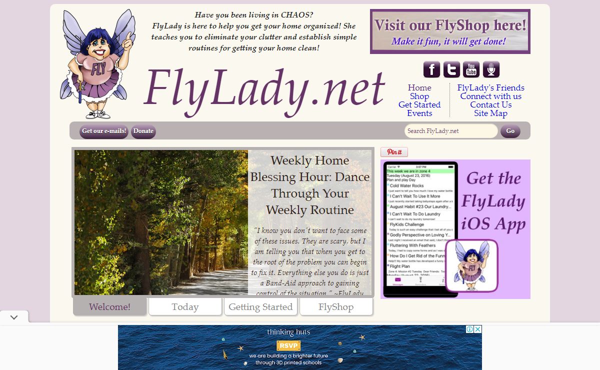 FlyLady.net: Your personal online coach to help you gain control of your house and home