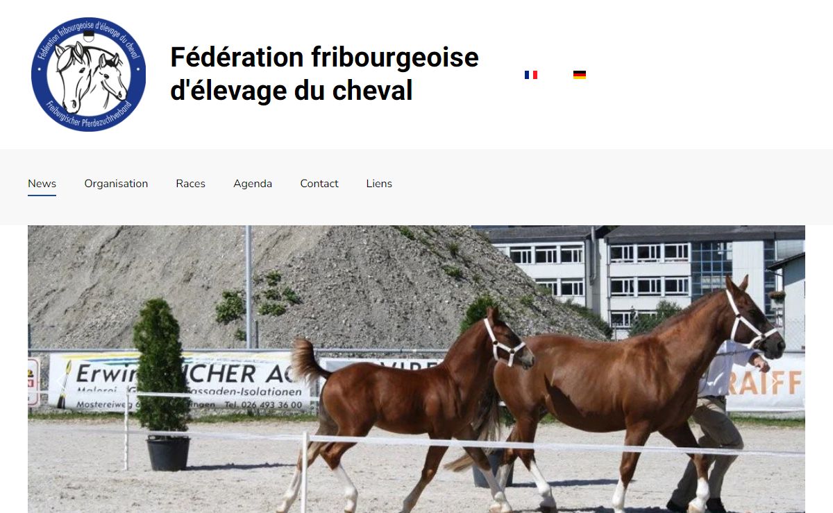 Fédération fribourgeoise d'élevage du cheval - News
