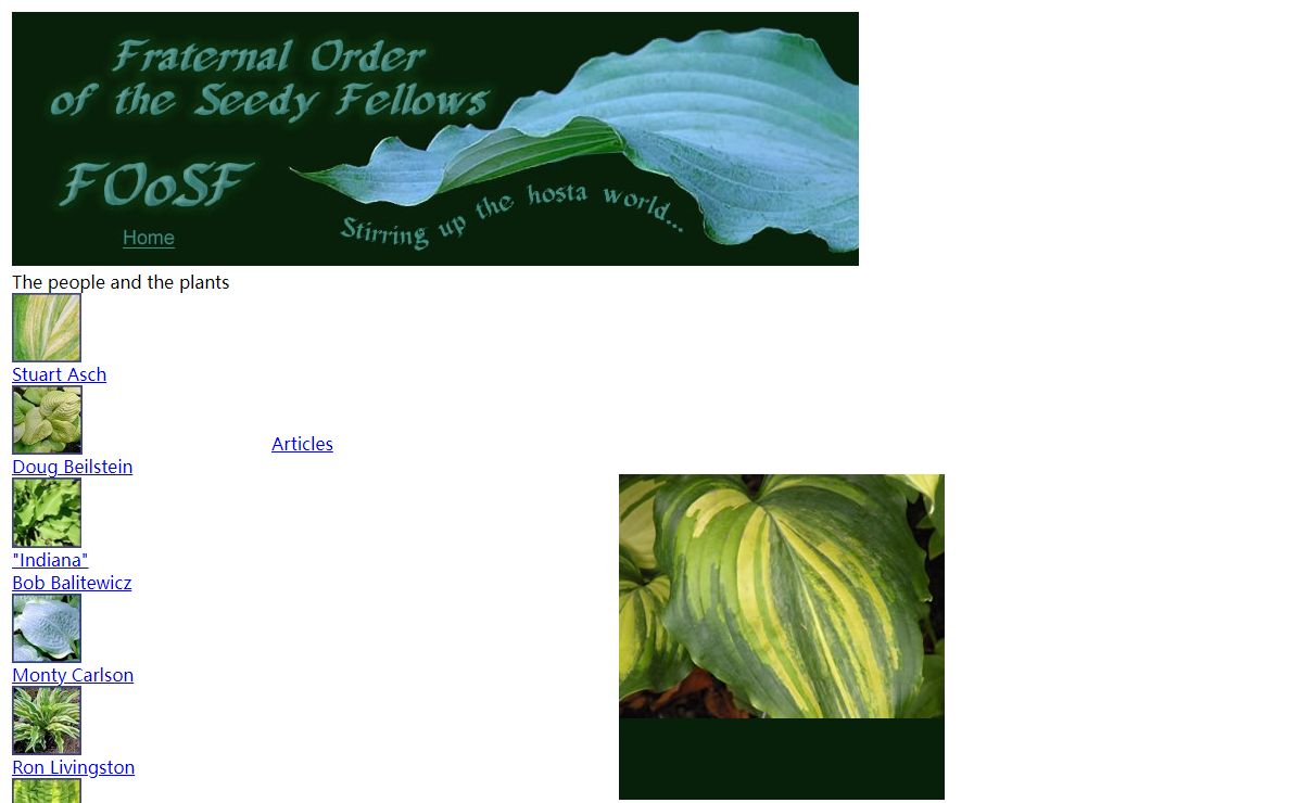 Fraternal Order of the Seedy Fellows