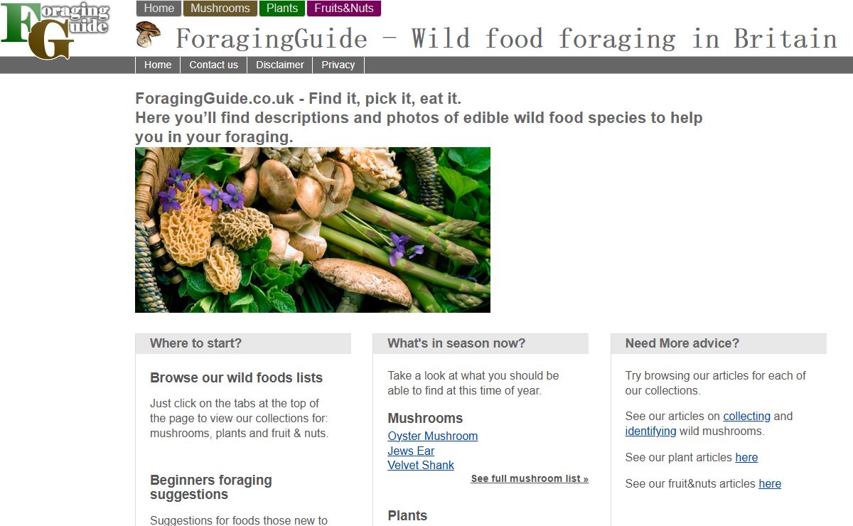 Wild mushroom foraging guide online
