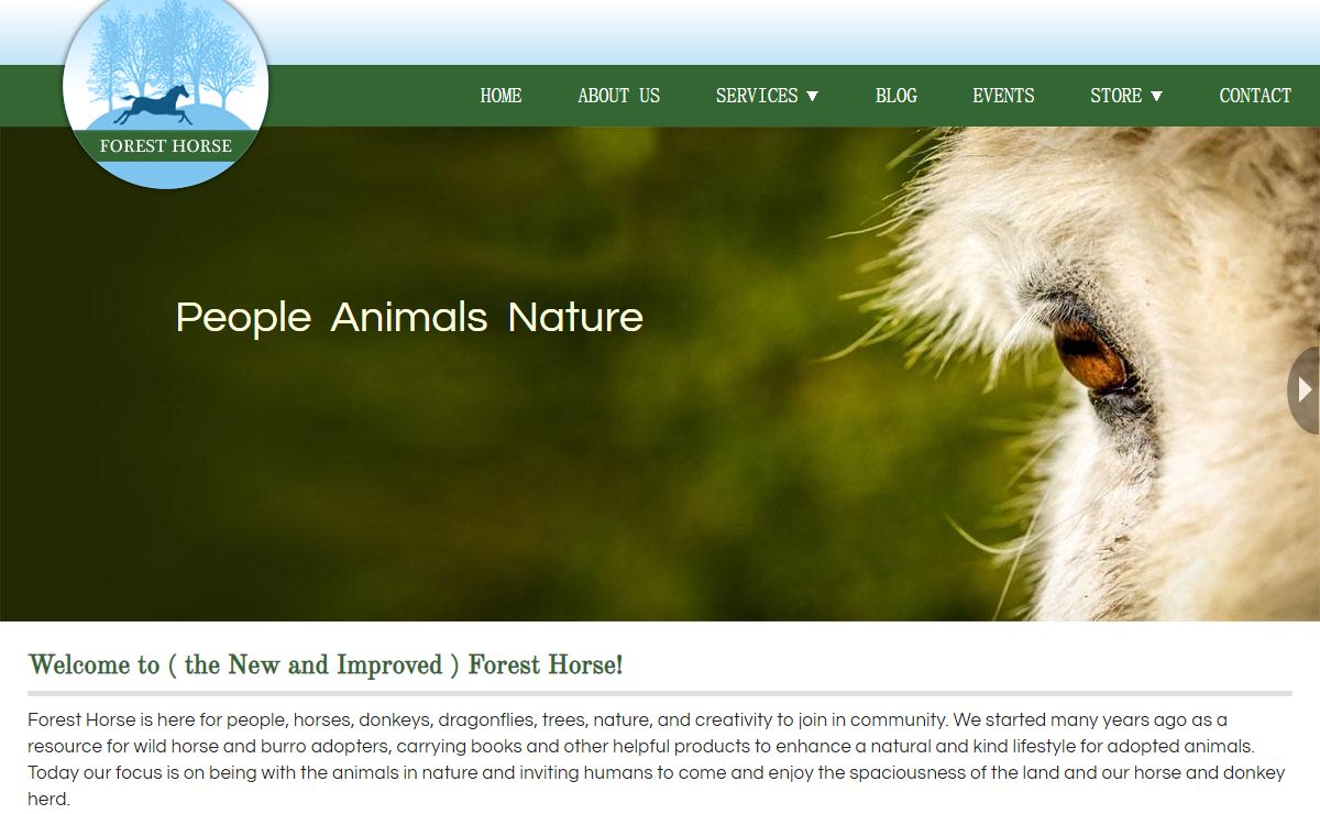 Care for wild horses and burros | Forest Horse