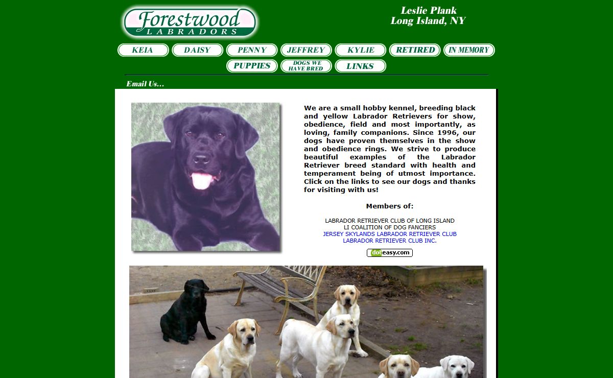 Welcome to Forestwood Labradors