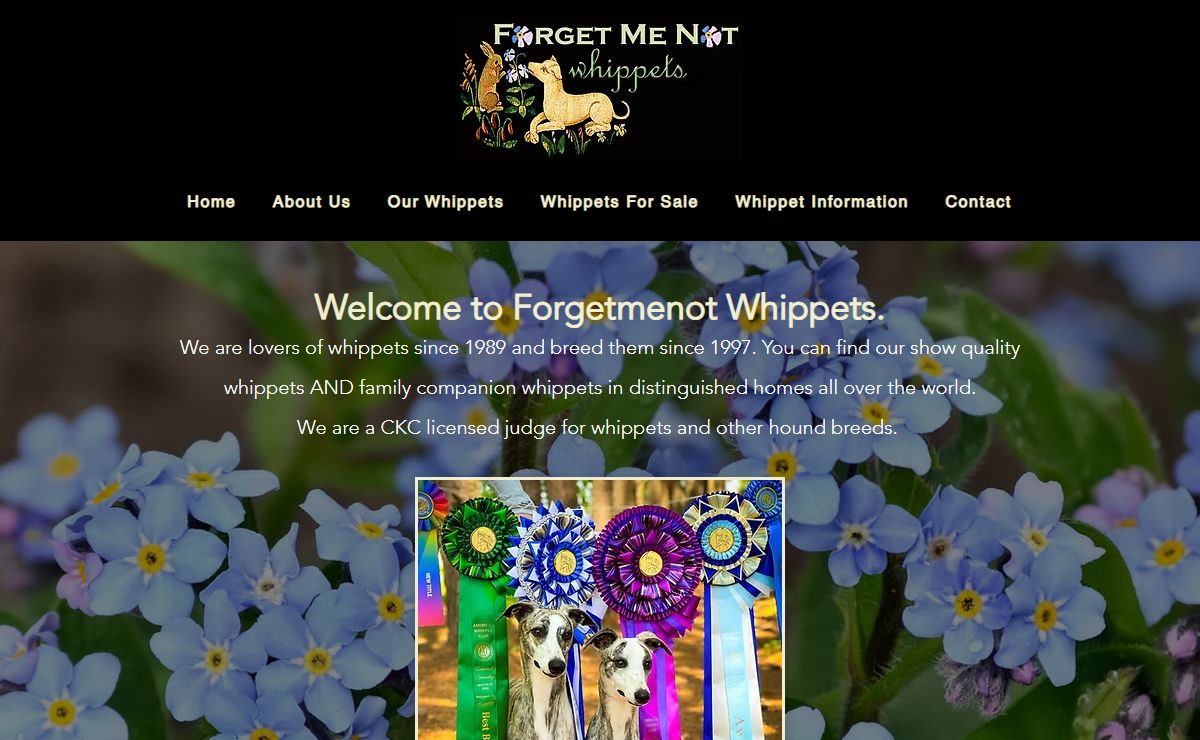 Home | Forgetmenot Whippets - Quality Whippet Puppies
