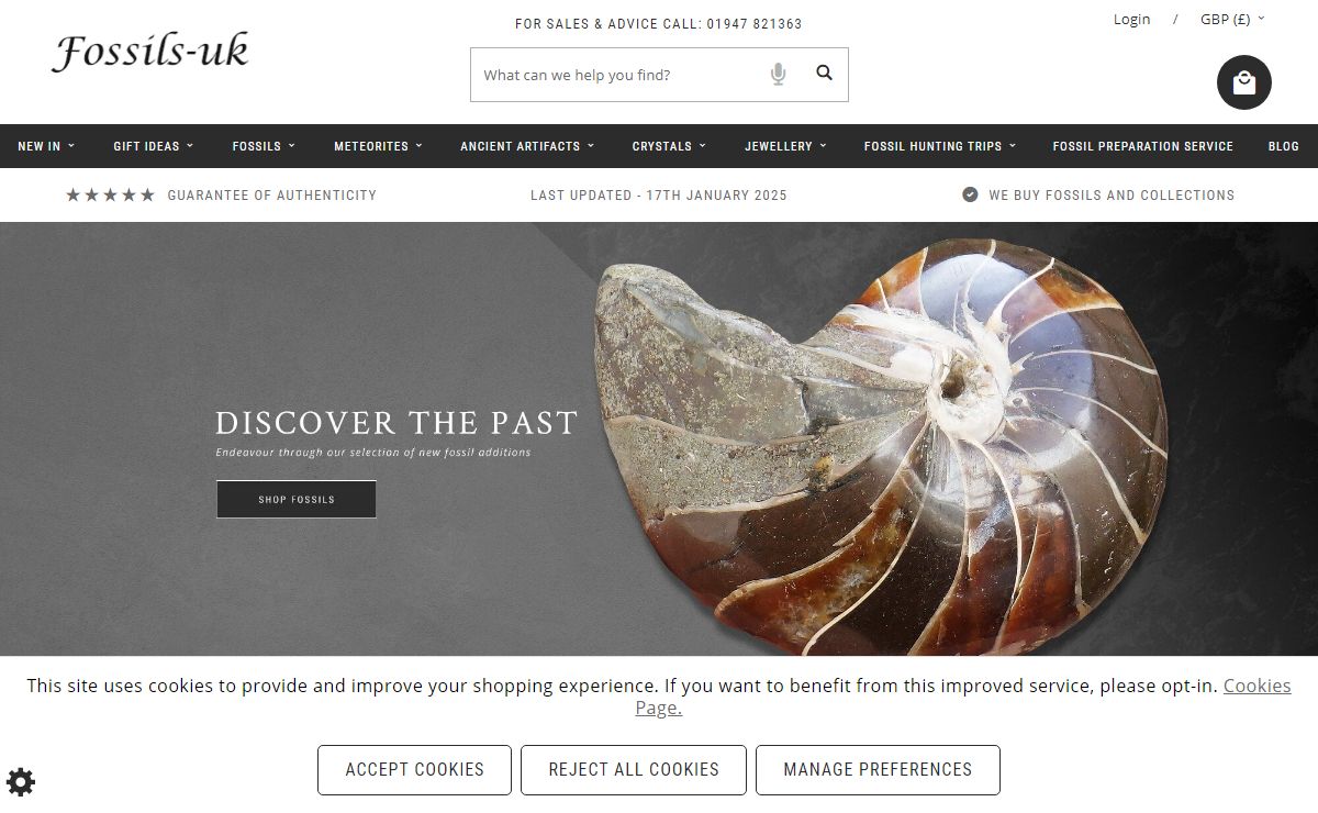 Fossils For Sale | Fossils-uk.com | Online fossil shop