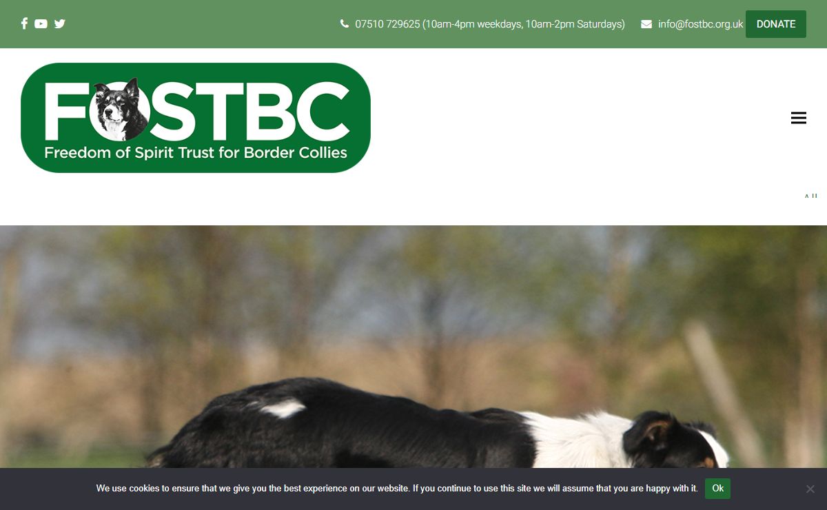 Fostbc – Fostbc