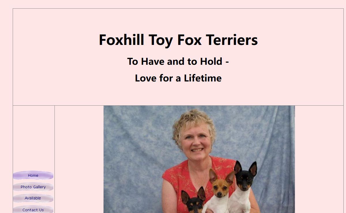 Foxhill Toy Fox Terriers - To Have & To Hold - Love for a Lifetime