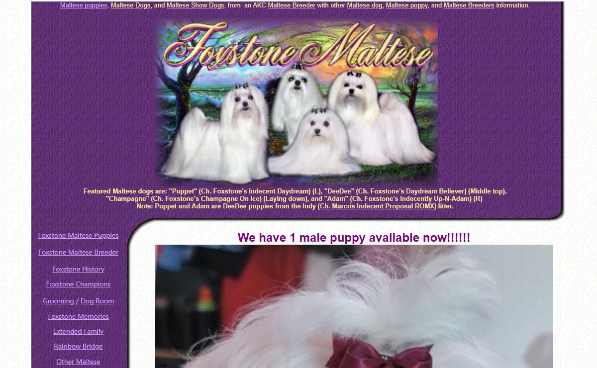 Maltese puppies, Maltese Dogs, and Maltese Show Dogs, from AKC Maltese Breeder with other Maltese dog, puppy, and Maltese Breeders info