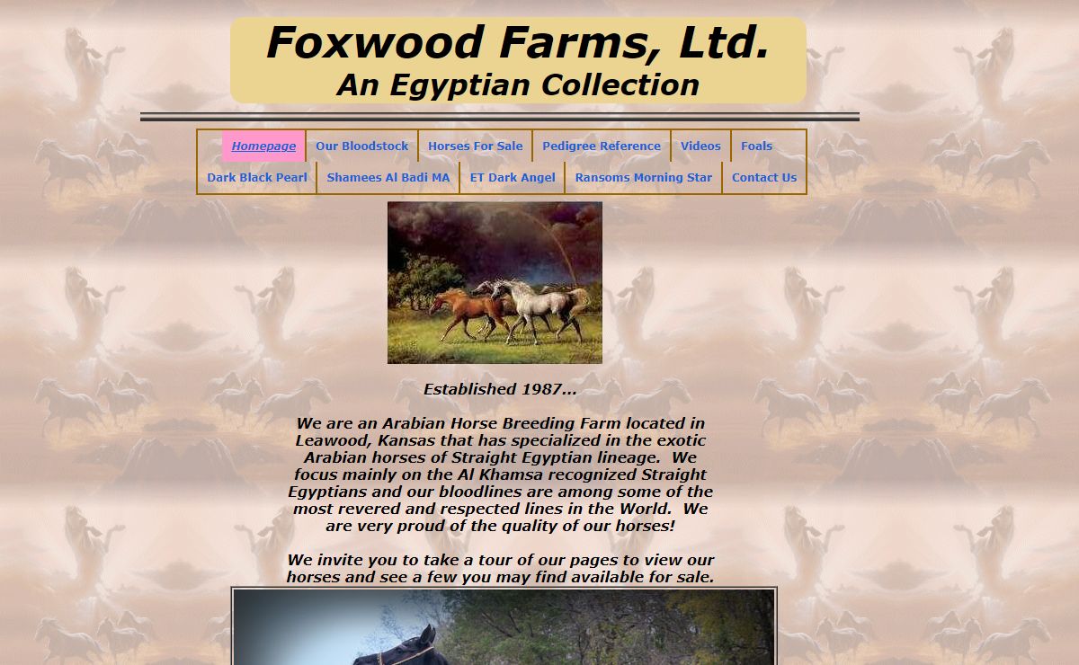 Foxwood Farms, Ltd. Inc. - Straight Egyptian Arabian Horses