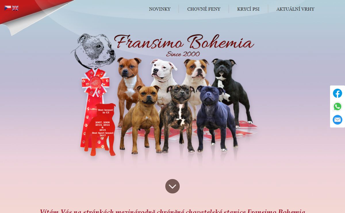 Fransimo Bohemia Kennel - Home