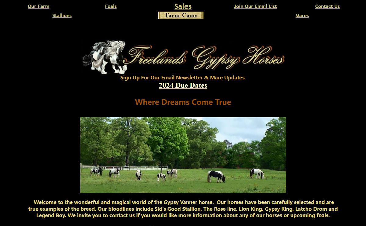 Freelands Gypsy Horses - Live Foaling Cam - Gypsy Vanner Horses -sales- Gypsy Vanner stallions