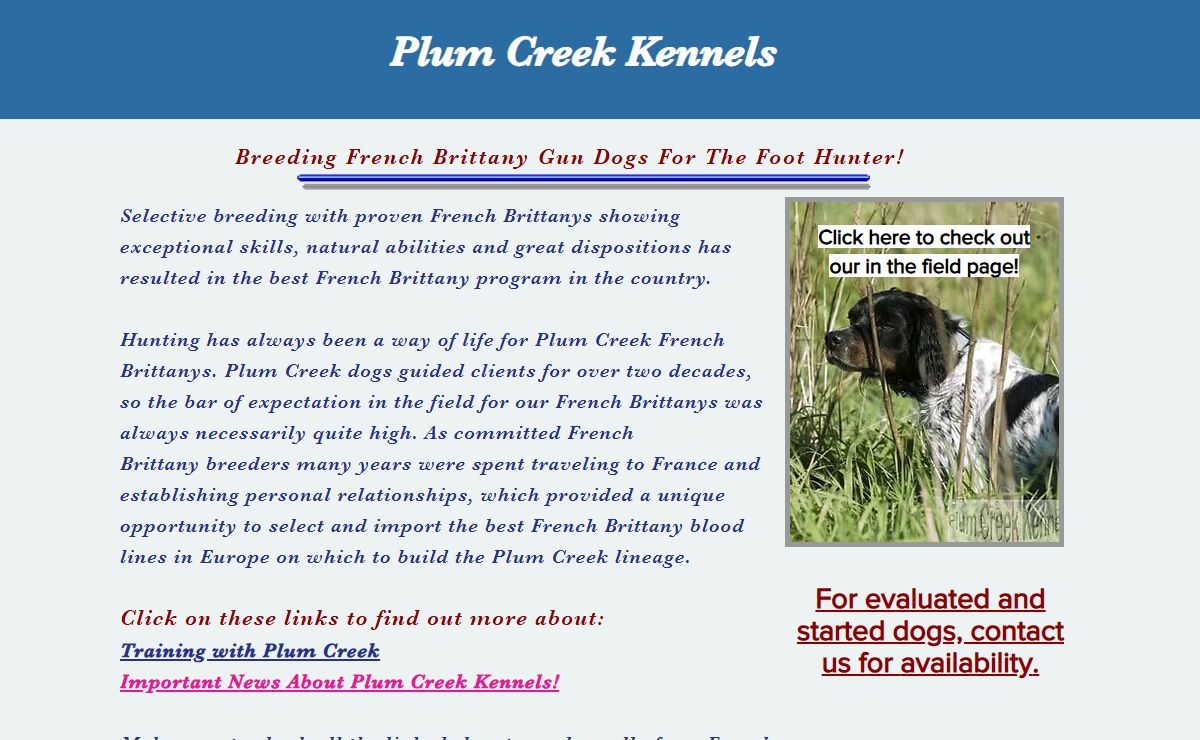French Brittany | Plum Creek Kennels | United States