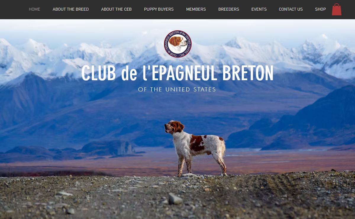 HOME | CEB-US | Club de l'Epagneul Breton of the United States