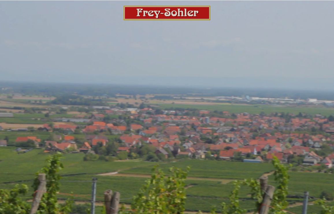 Frey-Sohler | Vins d'Alsace, Grands Crus d'Alsace, Vendanges Tardives & Crémants d'Alsace à Scherwiller