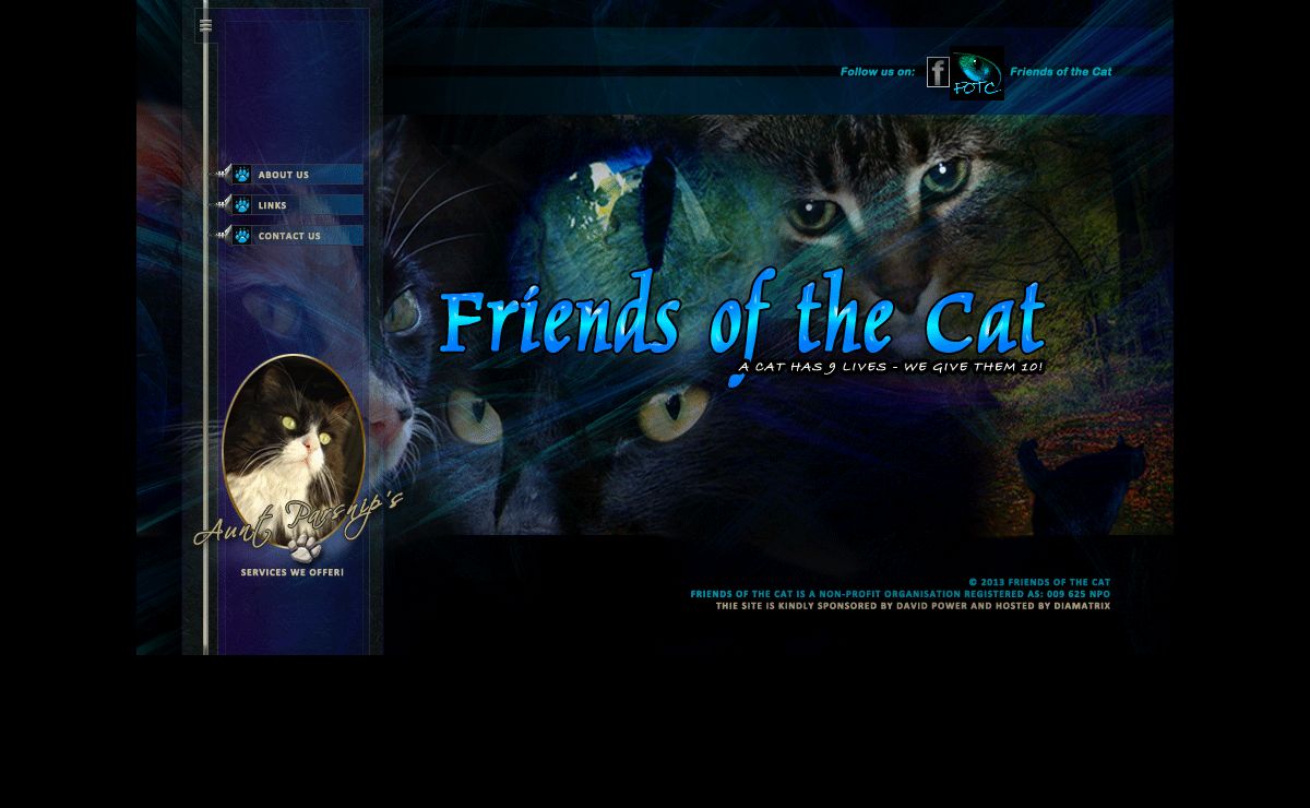 Friends of the Cat