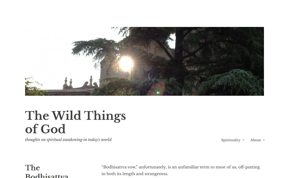 The Wild Things of God – thoughts on spiritual awakening in today's world