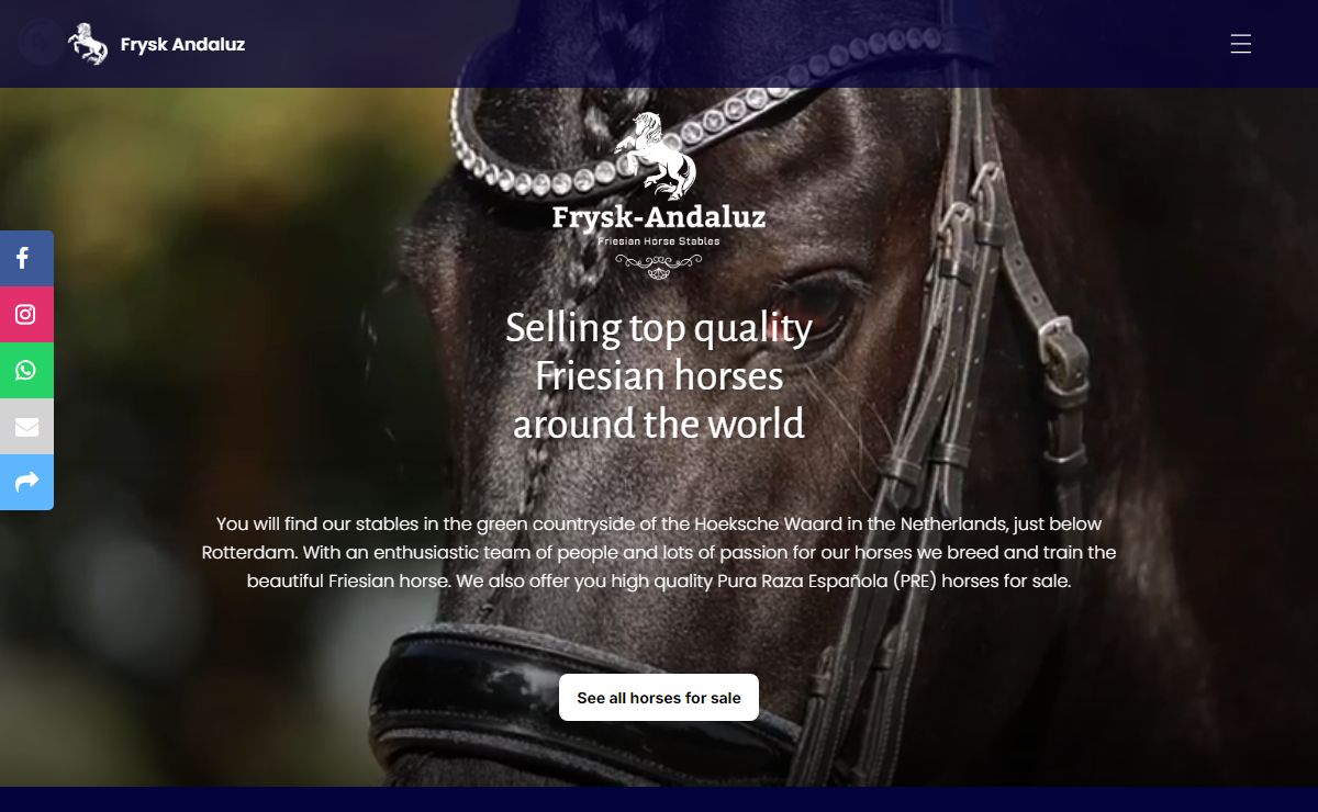 Selling top quality Friesian horses around the world | Frysk Andaluz
