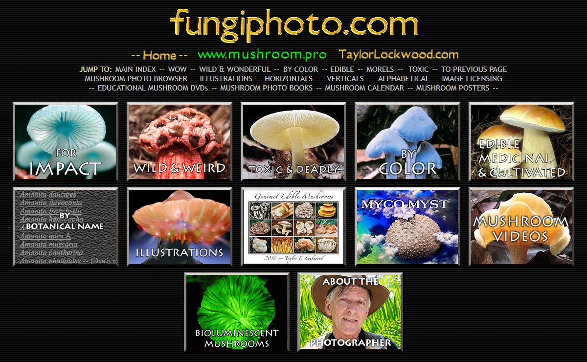 www.FungiPhoto.com Mushroom Photo Catalog