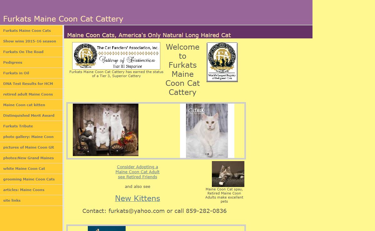 Furkats Maine Coon Cats: Pictures, Retired Adults