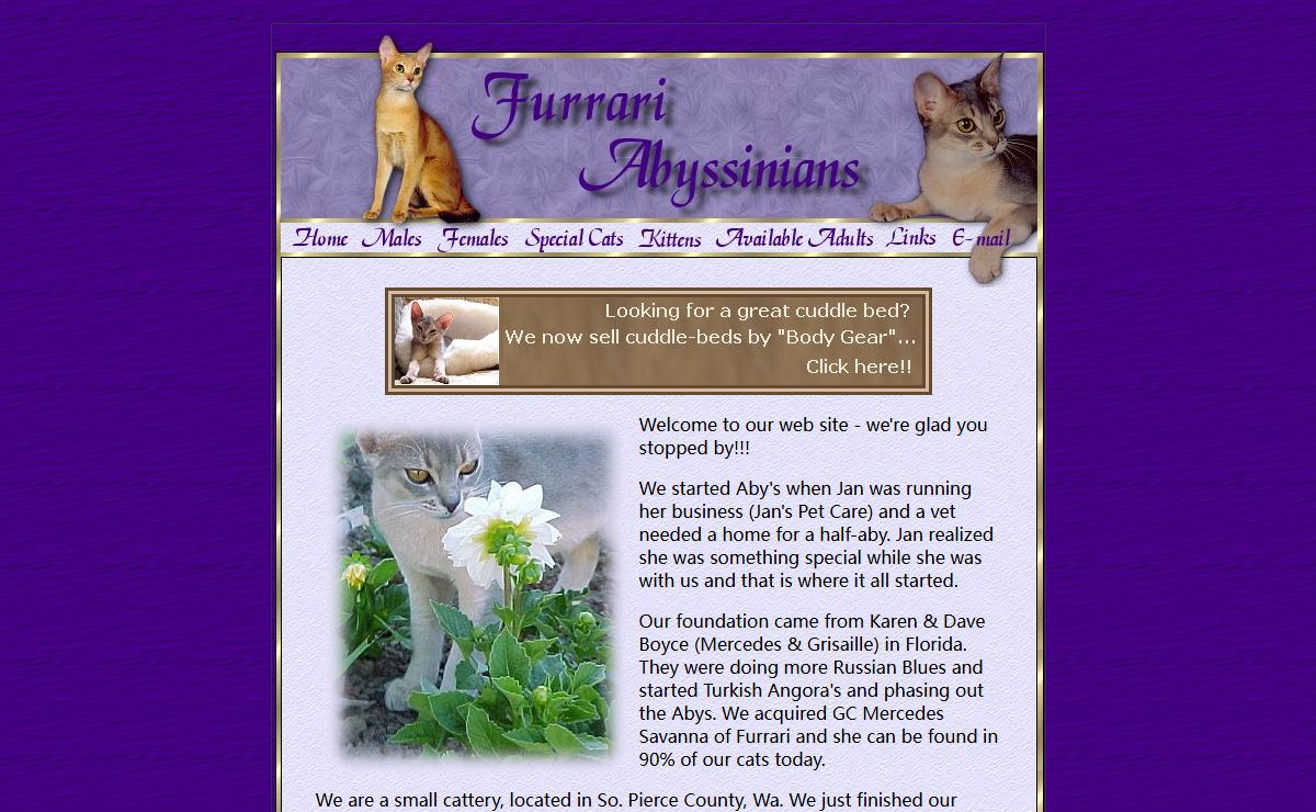Furrari Cattery : Welcome!