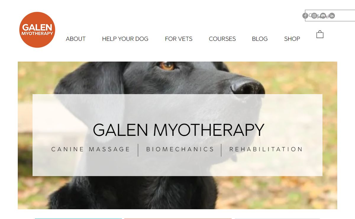 Galen Myotherapy I Canine Massage I Biomechanics I Rehabilitation