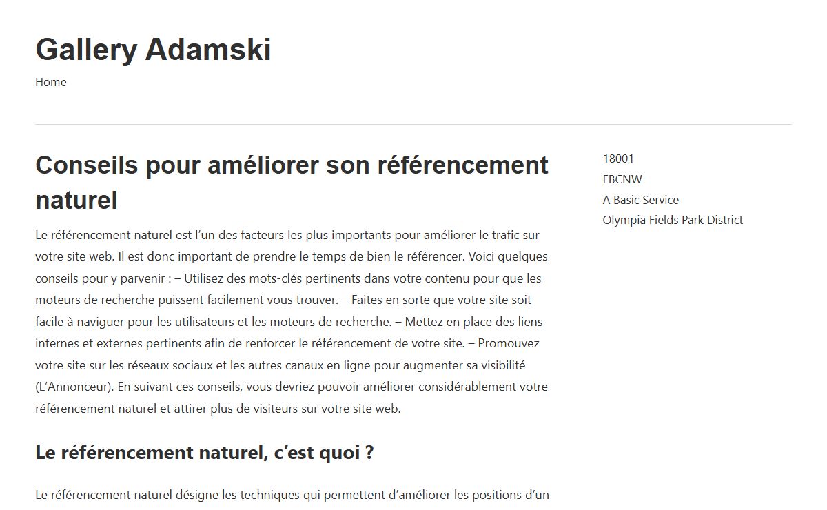 Conseils pour améliorer son référencement naturel - Gallery Adamski