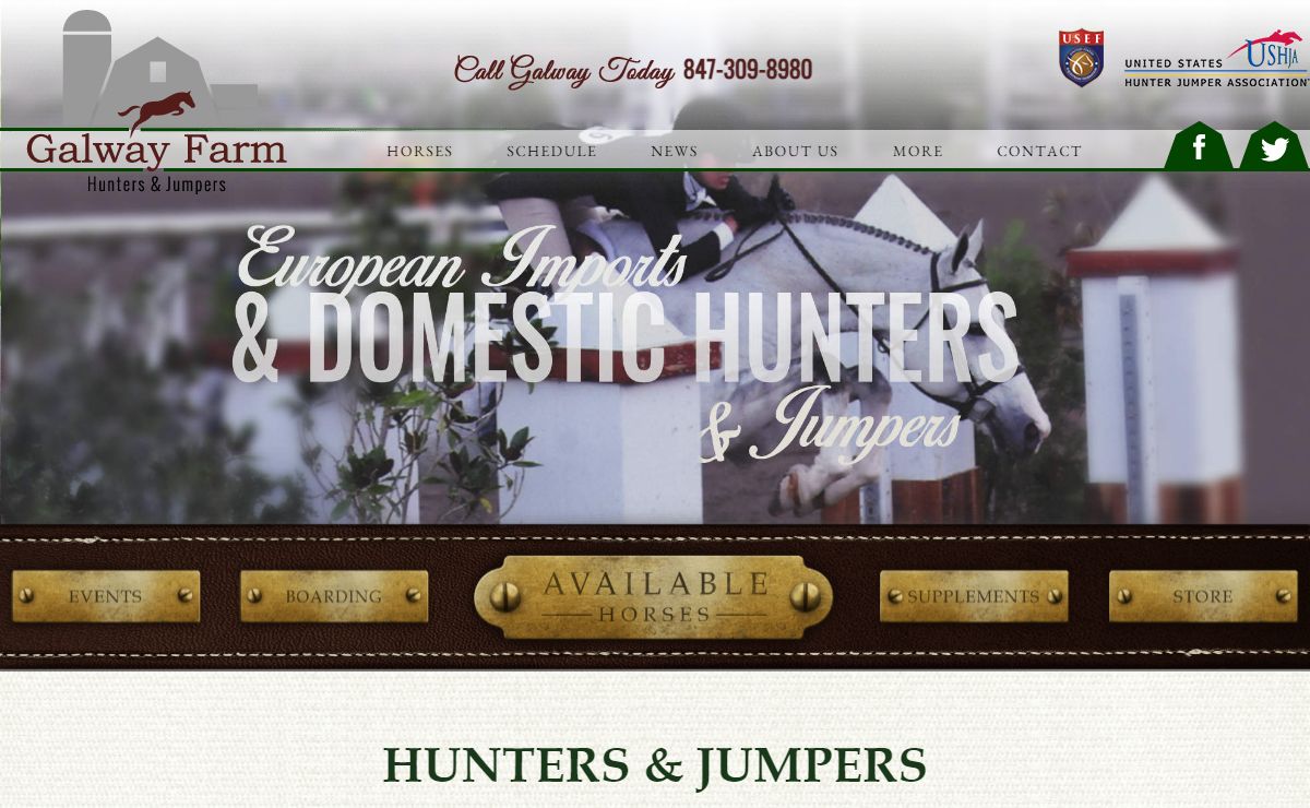 Warmblood Horses For Sale Near Chicago, IL | Equine Supplements | Hanoverian | Mares | Geldings | Lease | Galway Farm Hunters & Jumpers Long Grove, IL 60047