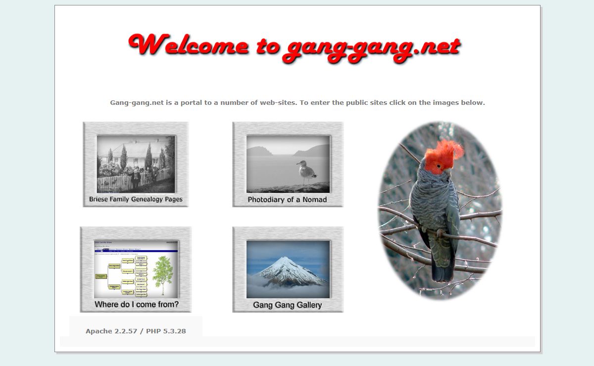gang-gang frontpage