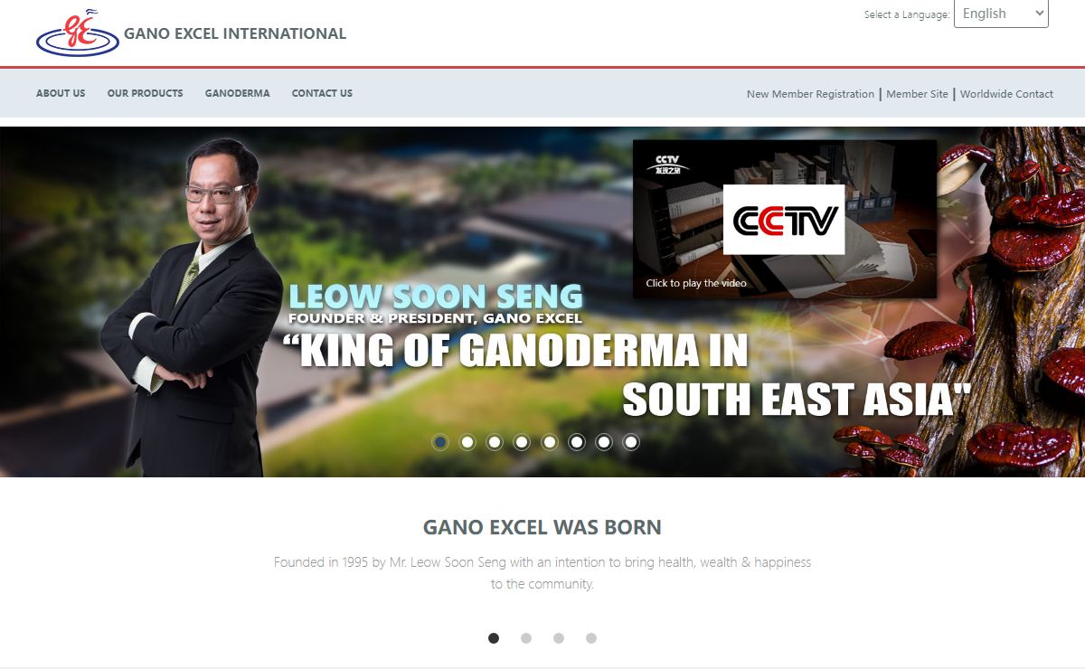 Gano Excel International