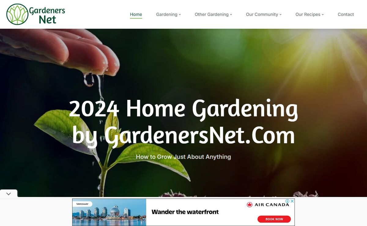 November Home Gardening. How to Grow a Garden.