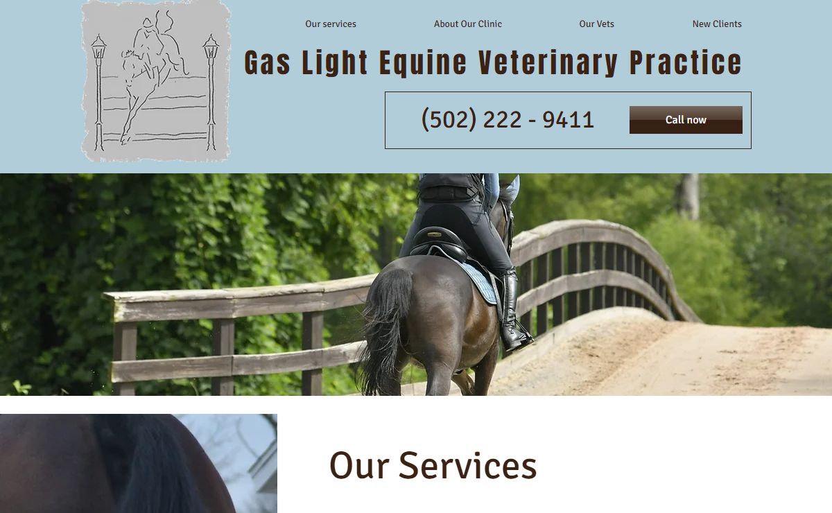 Home | Gas Light Equine Vet