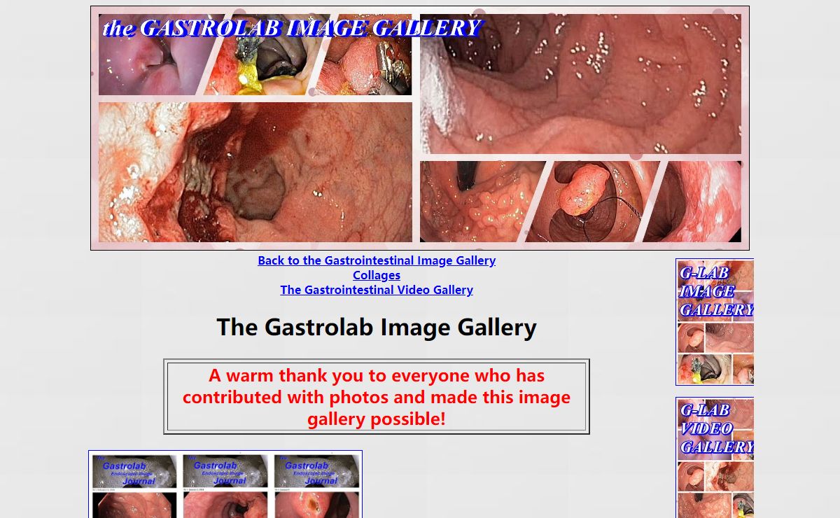The Gastrolab Image Gallery
