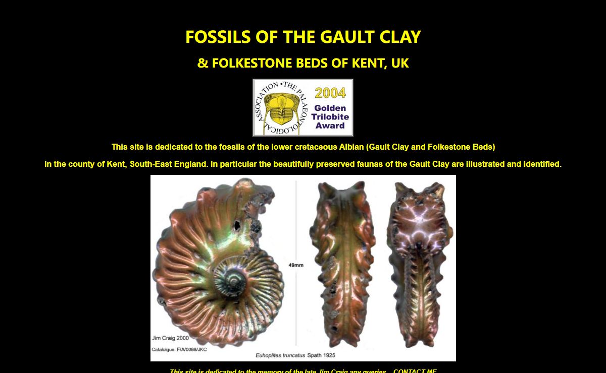 Ammonite.ws