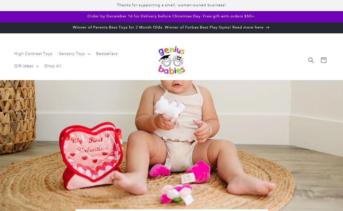 Genius Babies: High Quality, Developmental-Based Toys for Babies – Genius Babies Toys