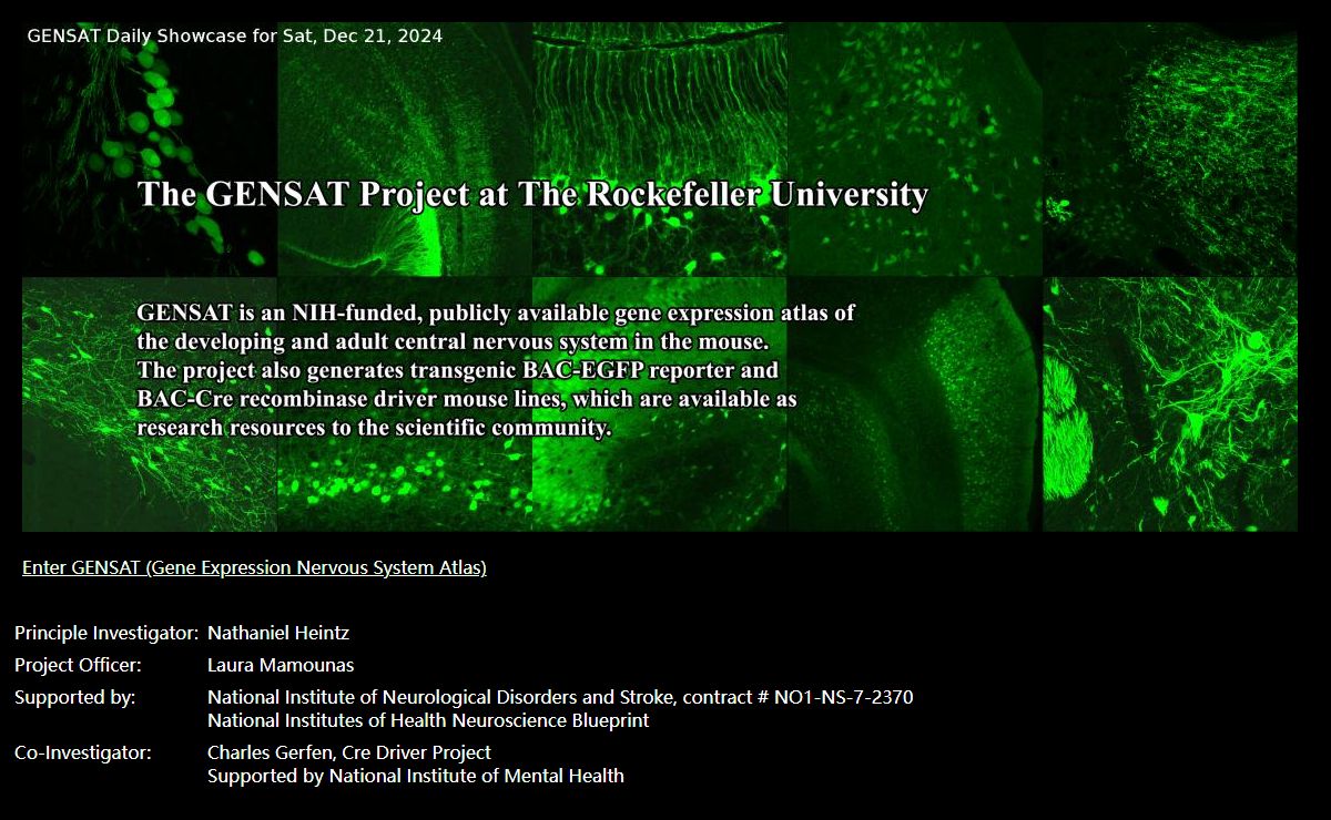 GENSAT Brain Atlas of gene expression in EGFP Transgenic Mice