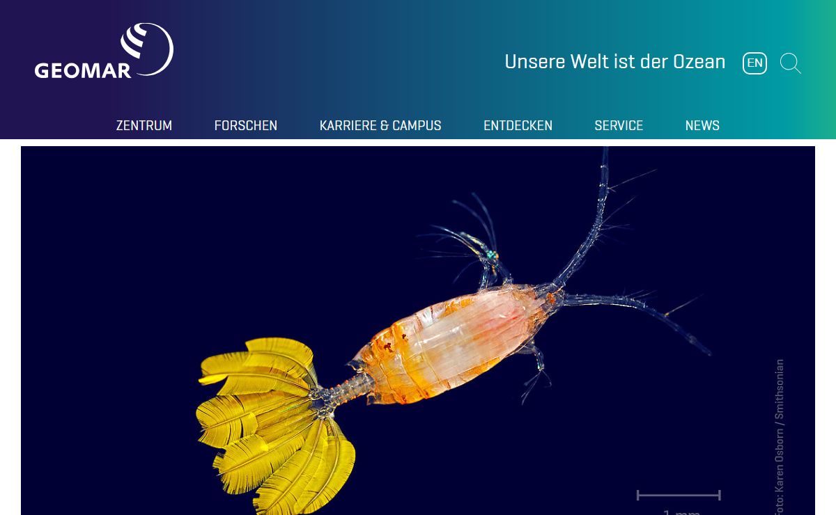 GEOMAR Helmholtz-Zentrum für Ozeanforschung Kiel