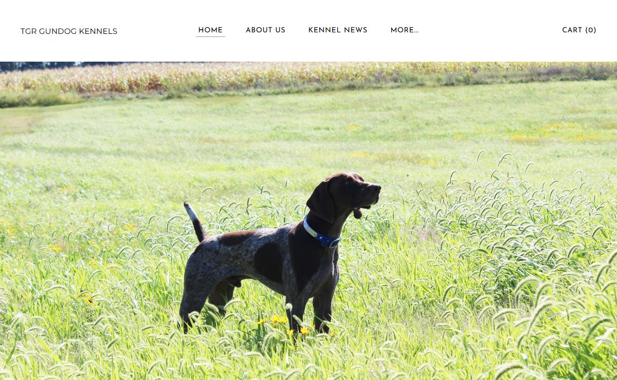 TGR Gundog Kennels - TGR Kennels