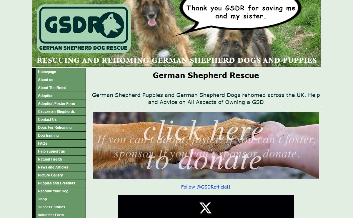GERMAN SHEPHERD RESCUE (GSDR) No 1 UK Dog Rescue Charity!