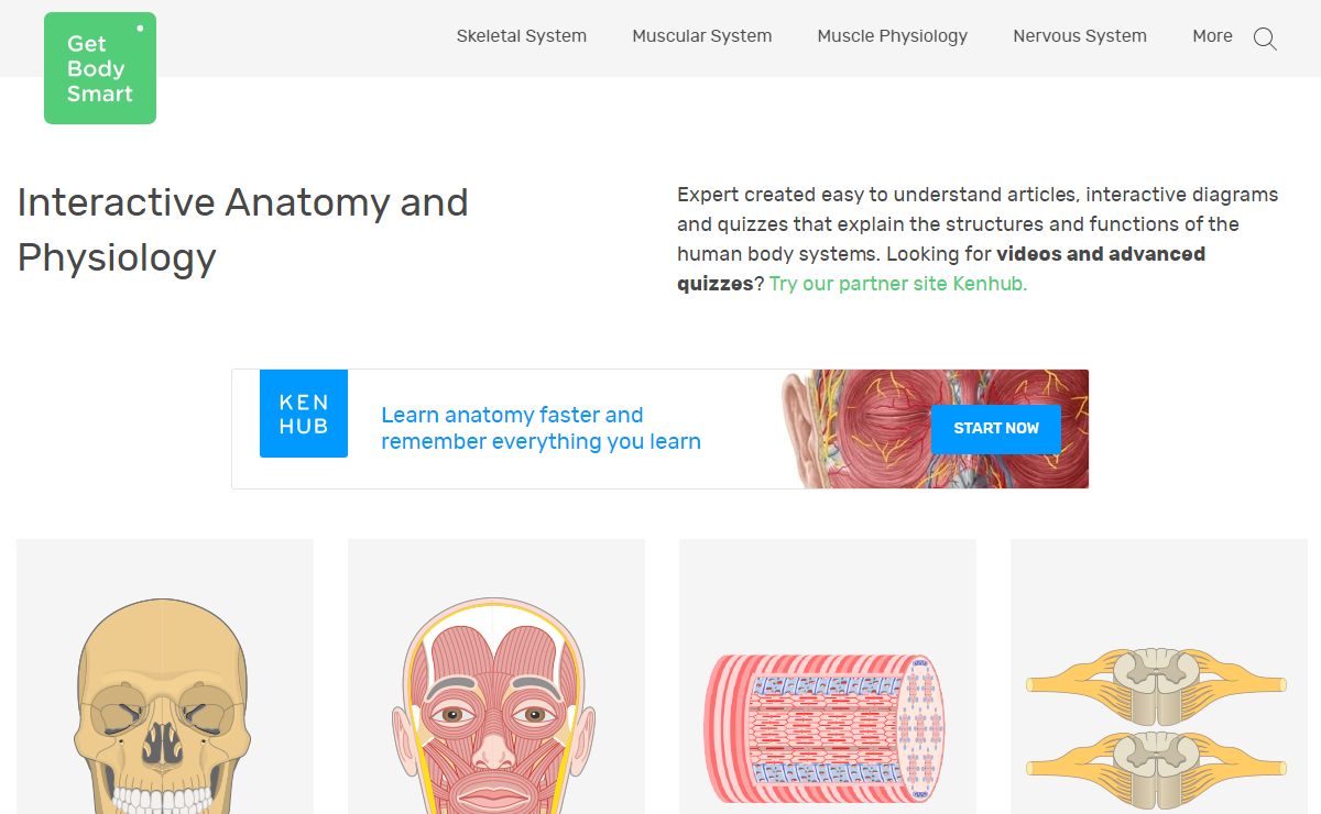 GetBodySmart | Interactive Anatomy and Physiology