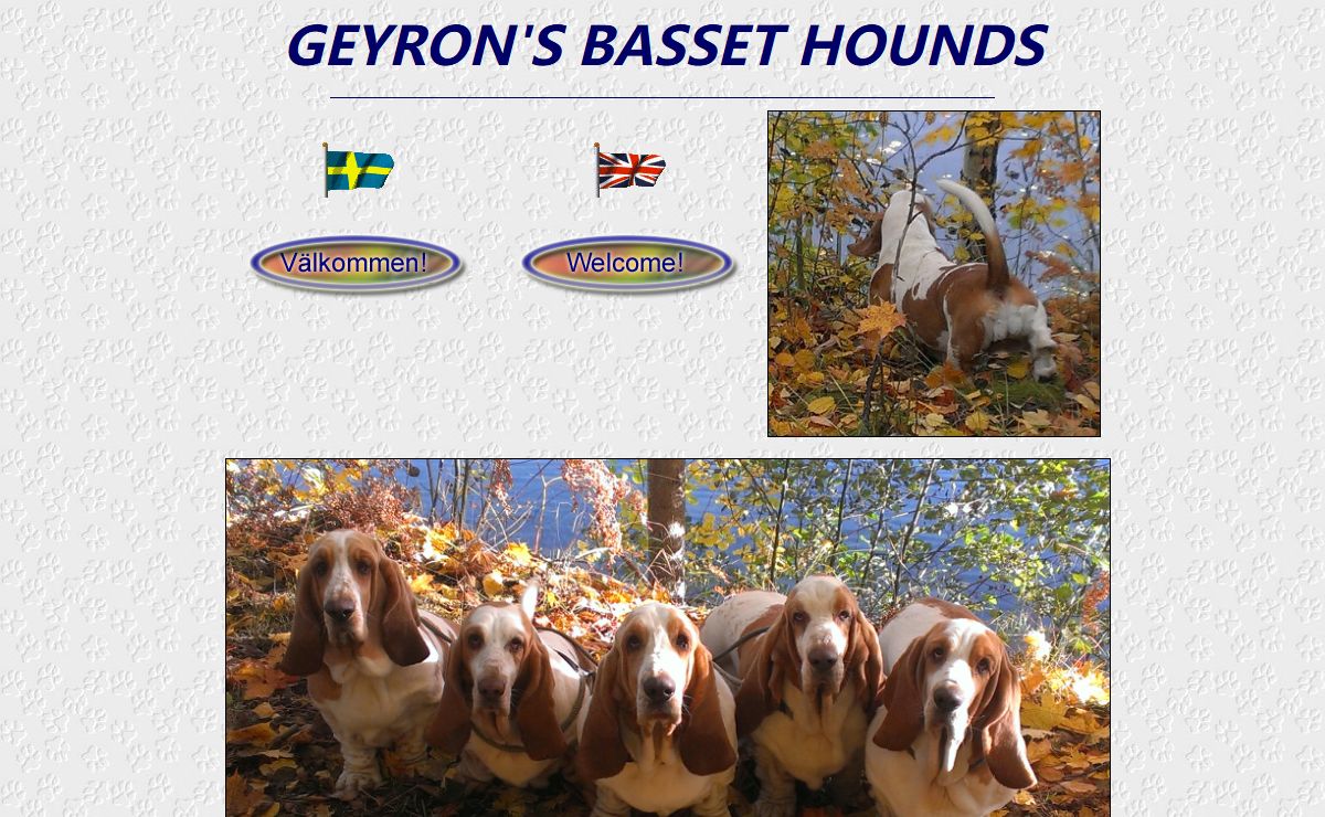 GEYRON'S BASSET HOUNDS