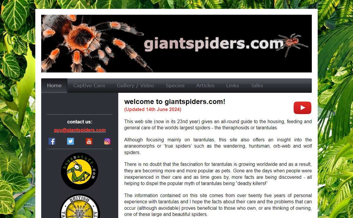 giantspiders.com - Home