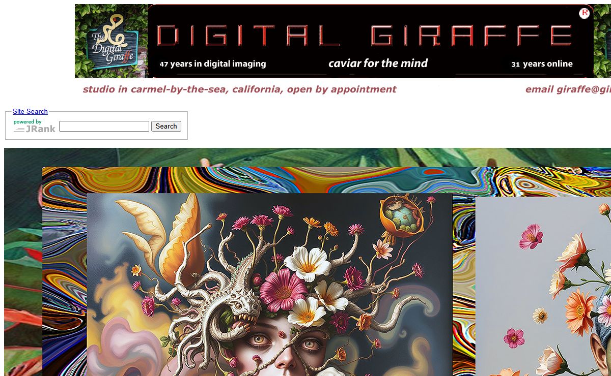 the digital giraffe - cover