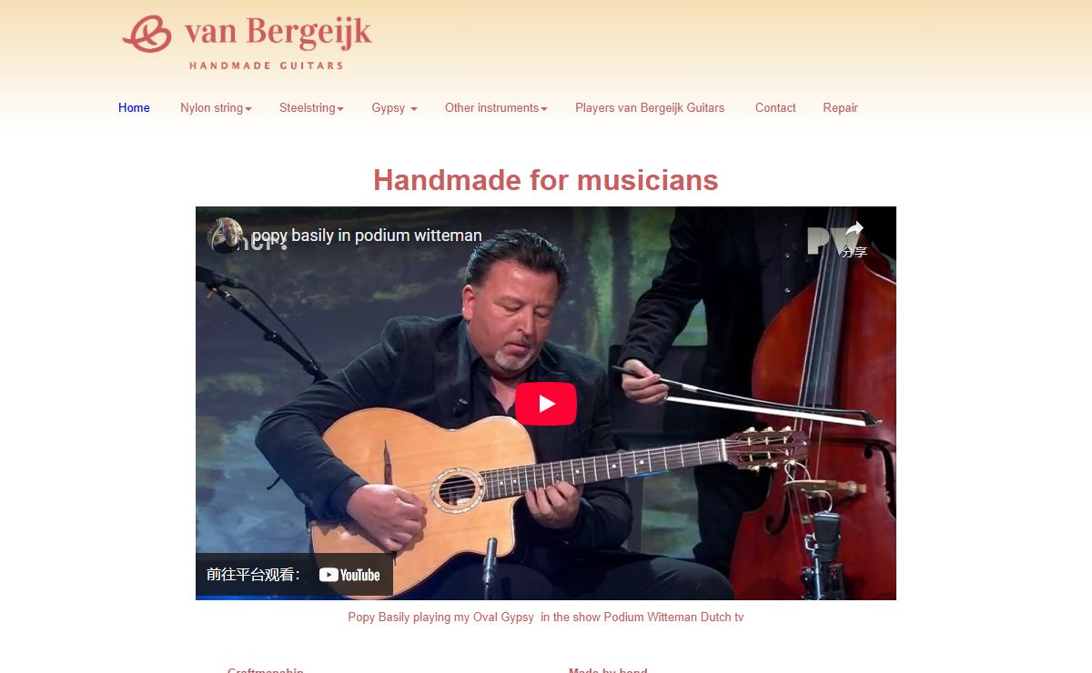 Van Bergeijk handmade guitars