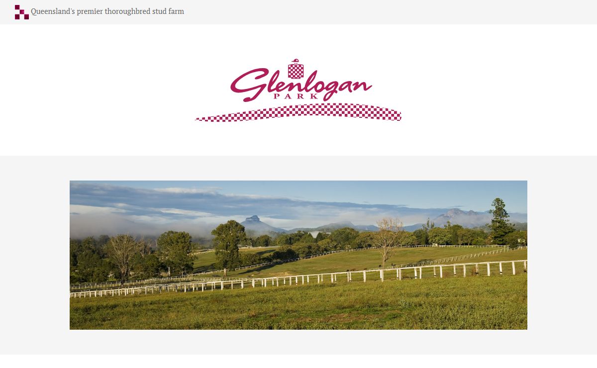 Queensland's premier thoroughbred stud farm. - Glenlogan Park Stud