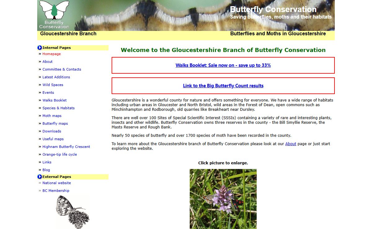 Butterflies and Moths in Gloucestershire
