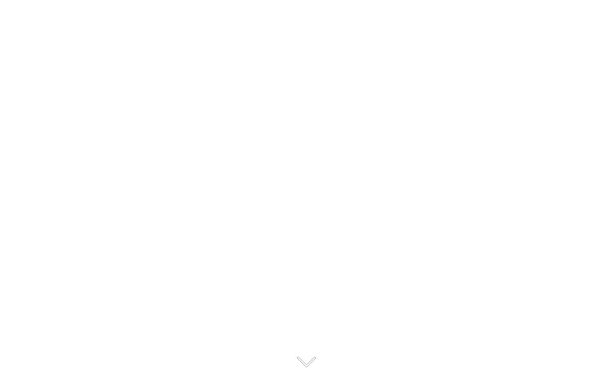 Dynamo — the friendly digital agency