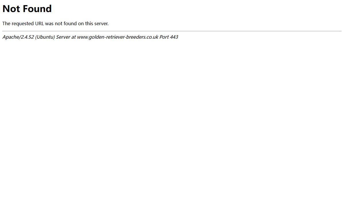 404 Not Found