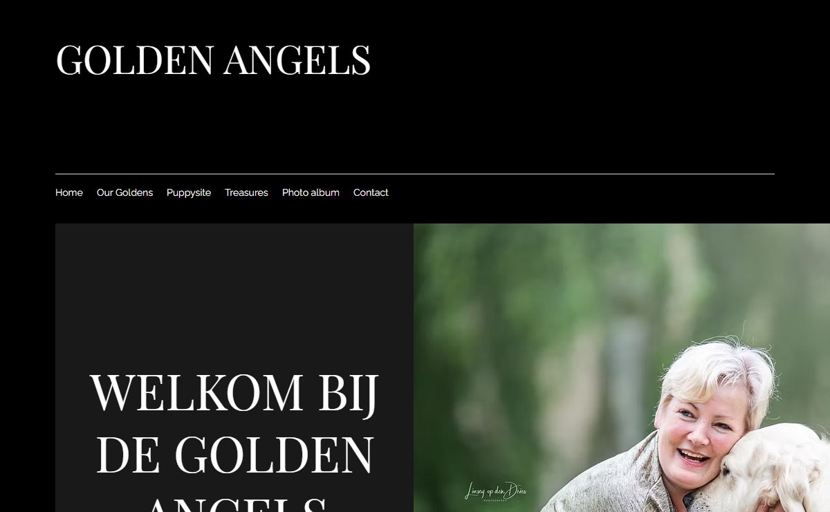 Home | Golden Angels
